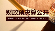 財政預決算
